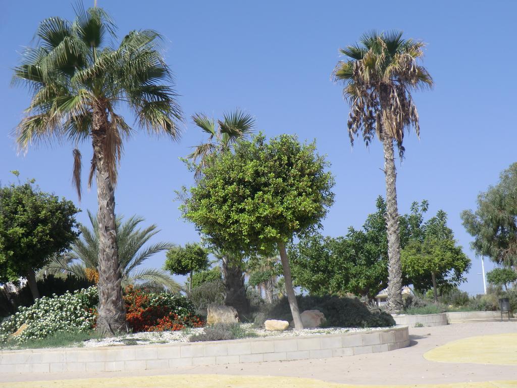 Casa En La Costa Villa Torrevieja Buitenkant foto